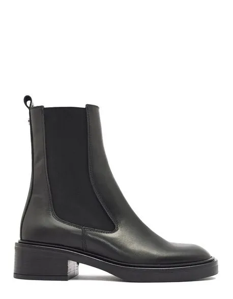 Alpe 2023 Negro
