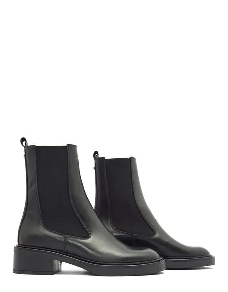Alpe 2023 Negro