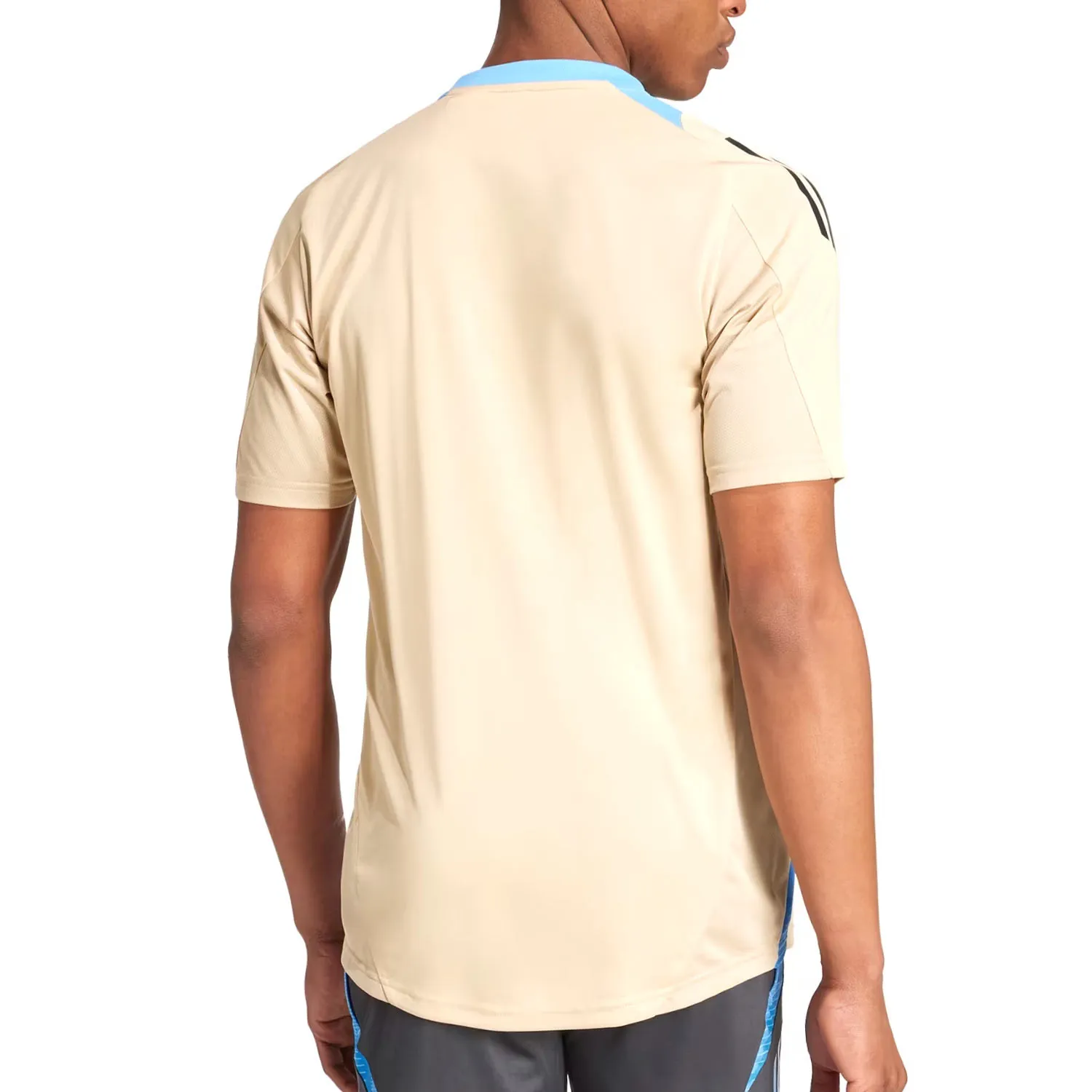 Camiseta adidas Argentina entrenamiento