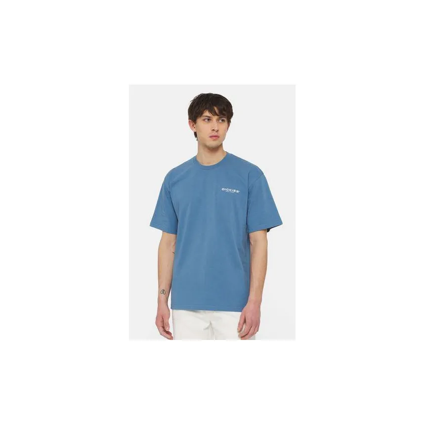 Camiseta Dickies Wakefield Para Hombre