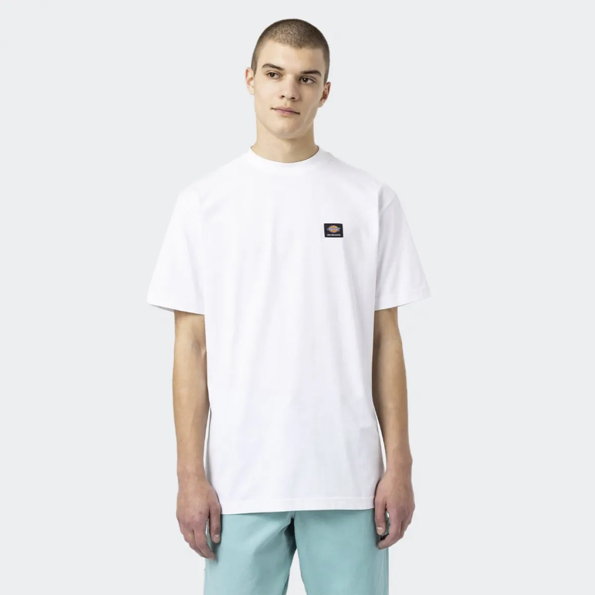 DICKIES Camiseta Dickies Mount Vista