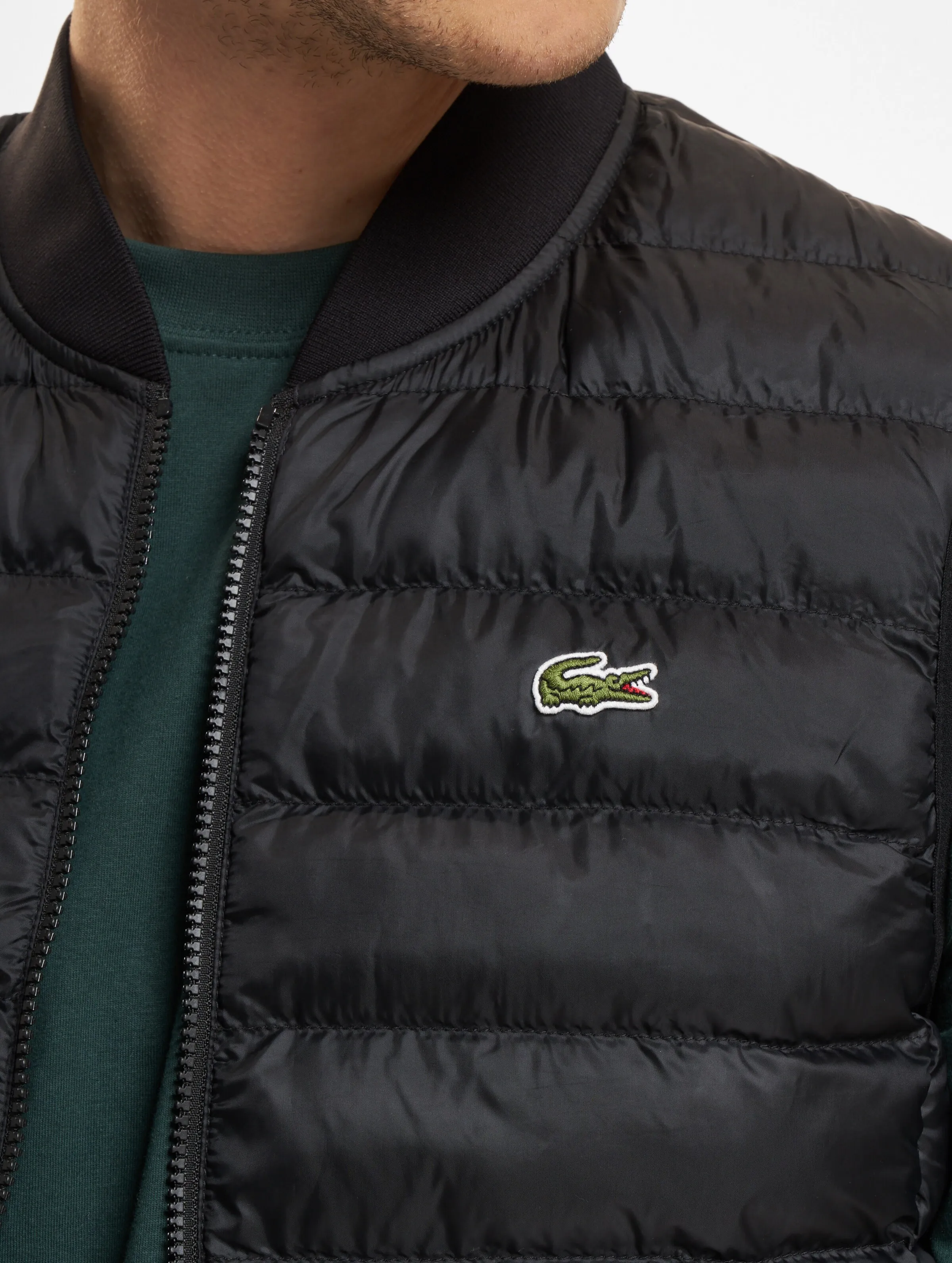 Lacoste Classic