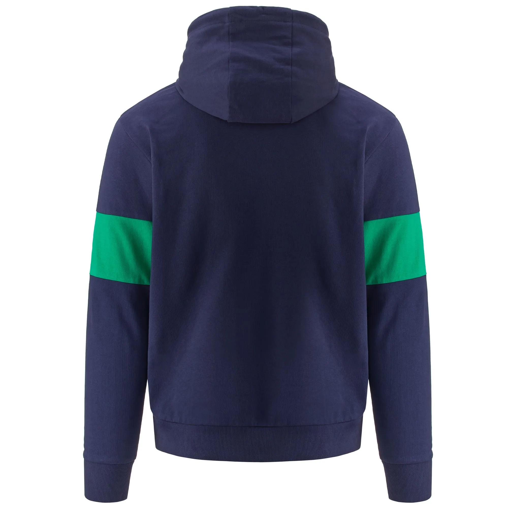 LOGO FROFIO BLUE MEDIEVALGREEN BLARNEY