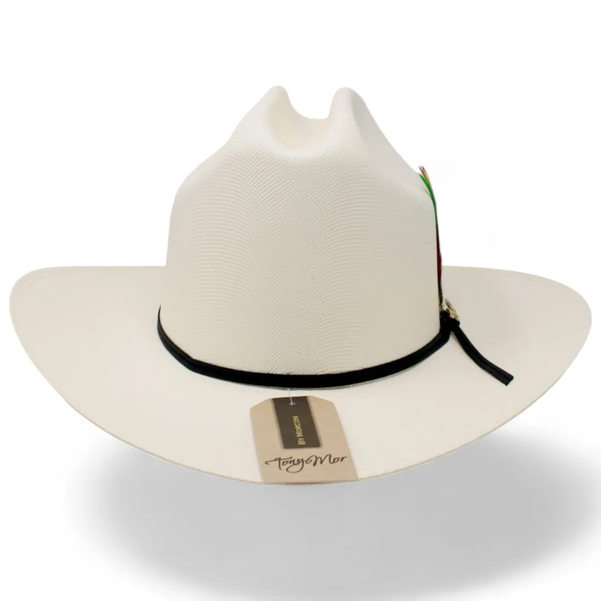 Sombrero Morcon 1,000X Horma Sinaloa con Plumas y Liston Negro