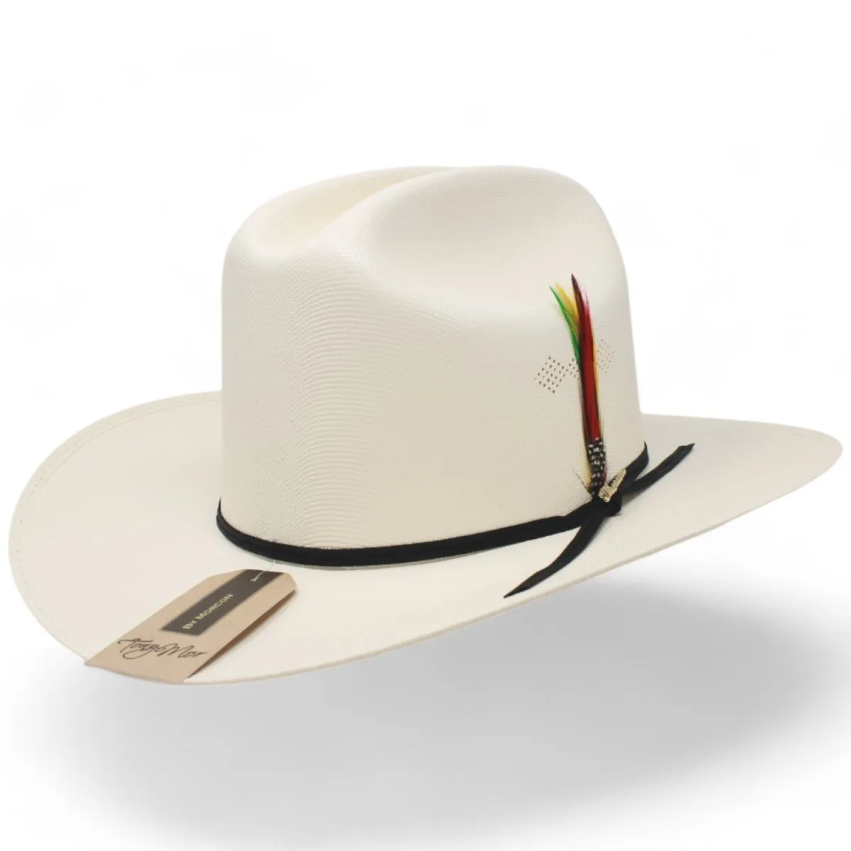 Sombrero Morcon 1,000X Horma Sinaloa con Plumas y Liston Negro