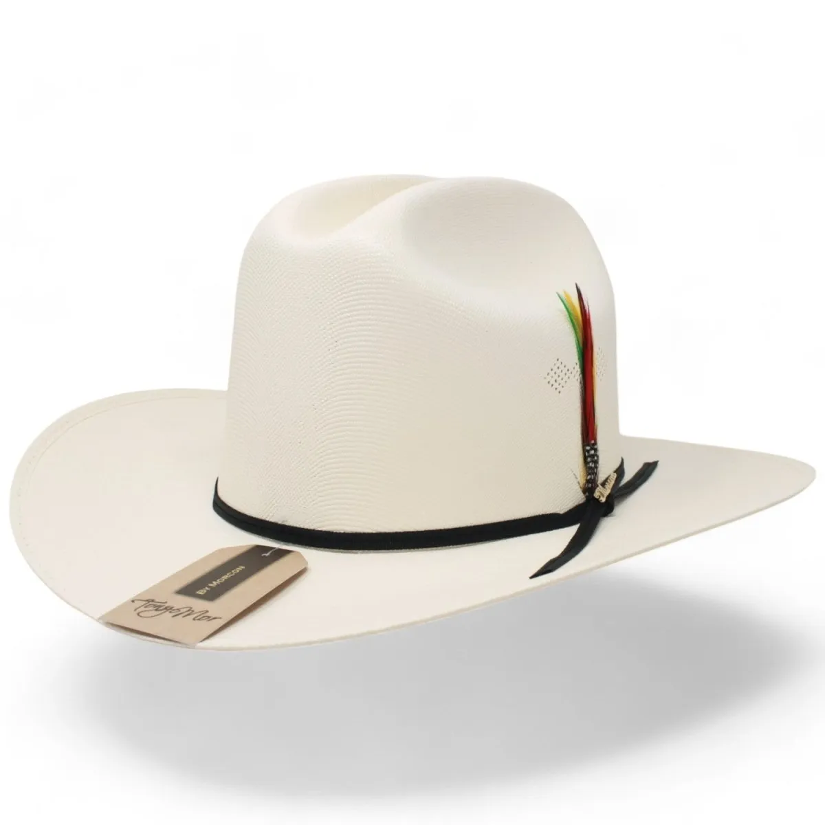 Sombrero Morcon 1,000X Horma Sinaloa con Plumas y Liston Negro